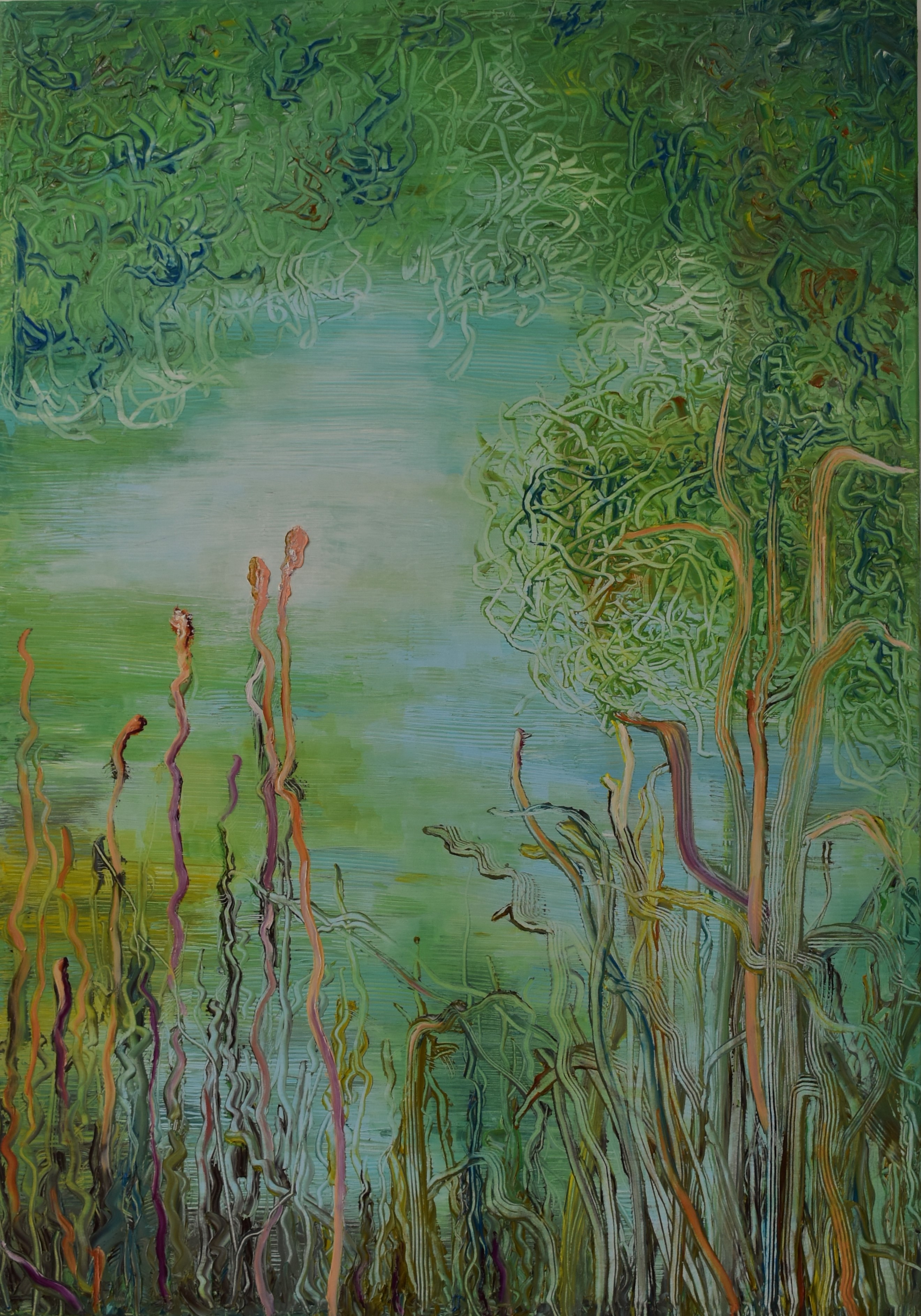 immersione