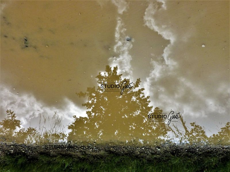 PAESAGGIO RIFLESSO