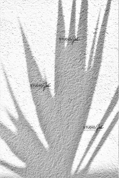OMBRA SU MURO